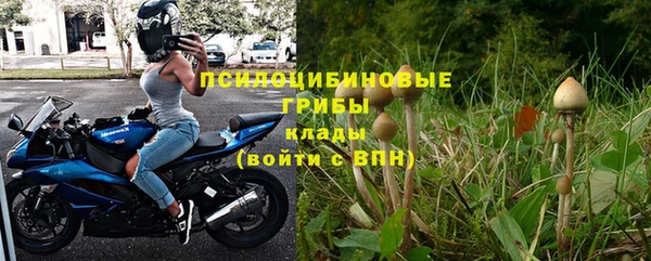 apvp Балахна