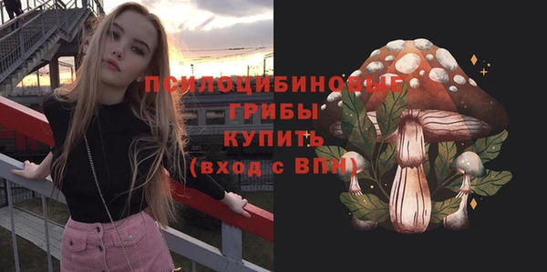 apvp Балахна