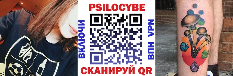 дарнет шоп  Северо-Курильск  Галлюциногенные грибы GOLDEN TEACHER 